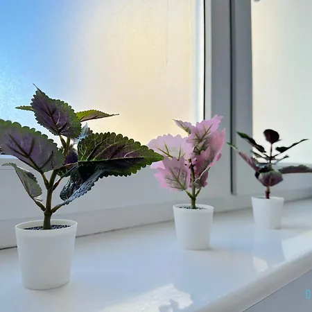 Privatunterkunft Dolce - 10 Minutes To Old Town & Seaside *